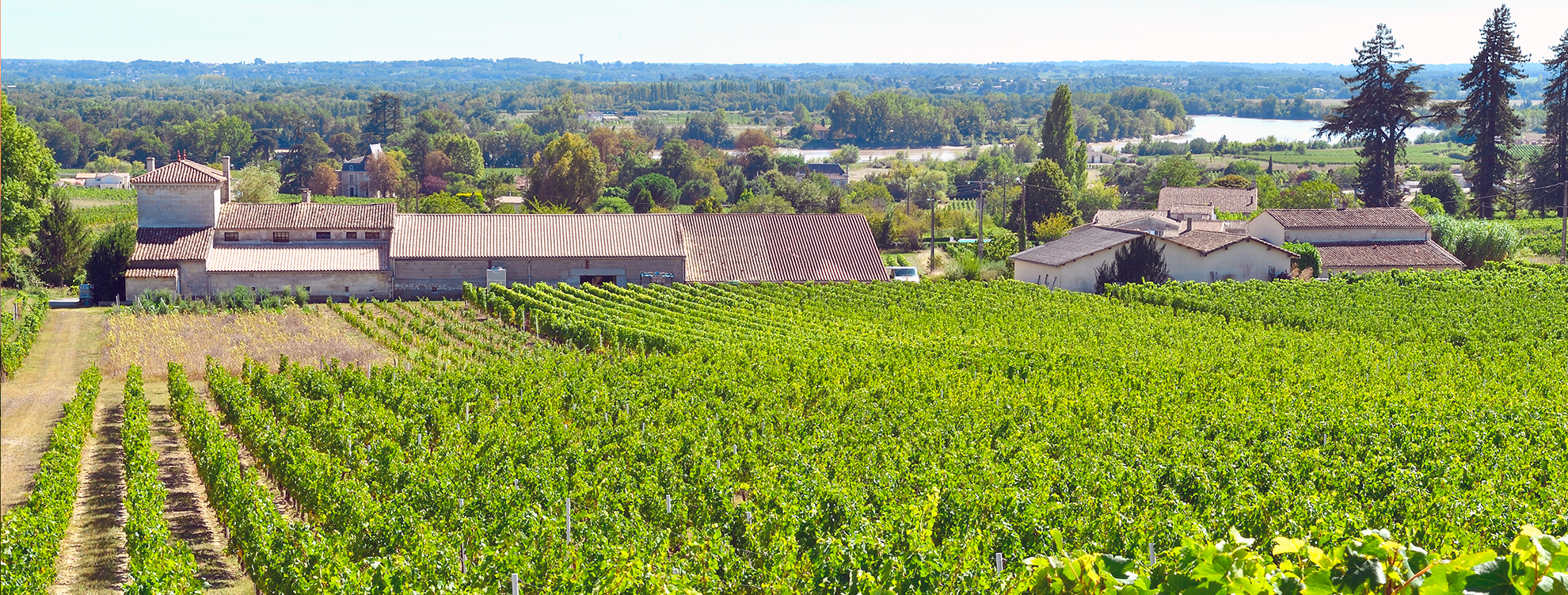 chateau barrabaque - fronsac