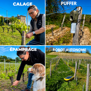 Le travail de la vigne & démarches environnementales